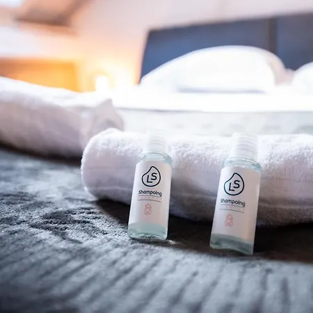 The Attic - Ideally Located In The Old Town Annecy